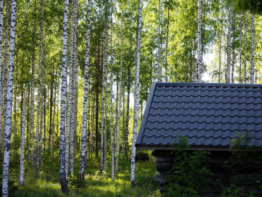 Vuonislahti Tarina-Aho B&B 외부 사진